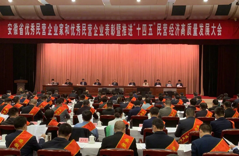 喜訊！元琛科技總經(jīng)理梁燕被授予“安徽省優(yōu)秀民營企業(yè)家”稱號